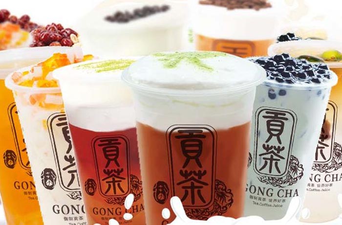 满城贡茶培训